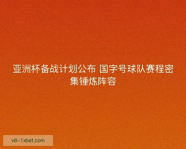 亚洲杯备战计划公布 国字号球队赛程密集锤炼阵容